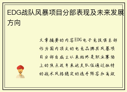 EDG战队风暴项目分部表现及未来发展方向