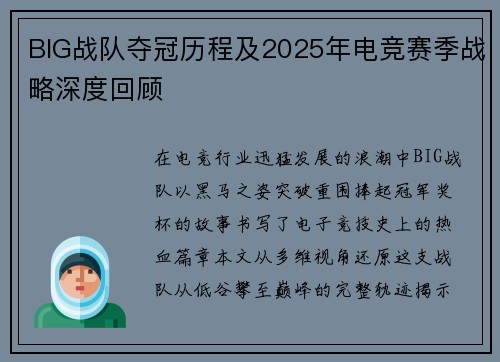 BIG战队夺冠历程及2025年电竞赛季战略深度回顾
